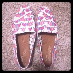 Rhino Toms!